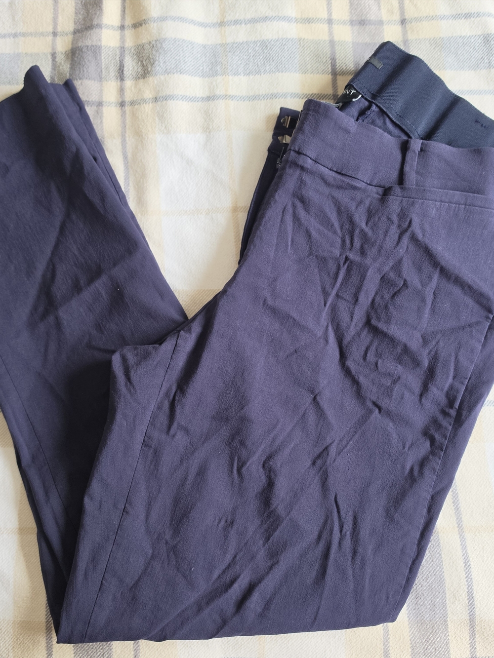 Lane Bryant Navy Straight Leg Pants